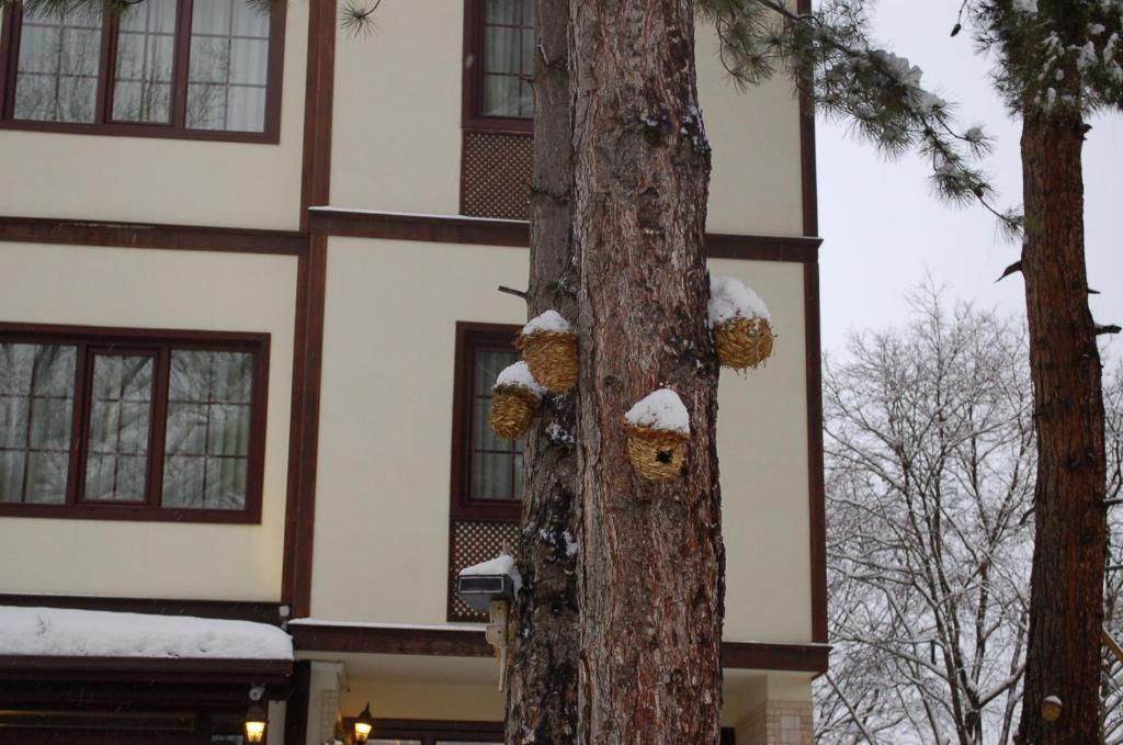 Diamond Park Hotel Safranbolu Kültér fotó